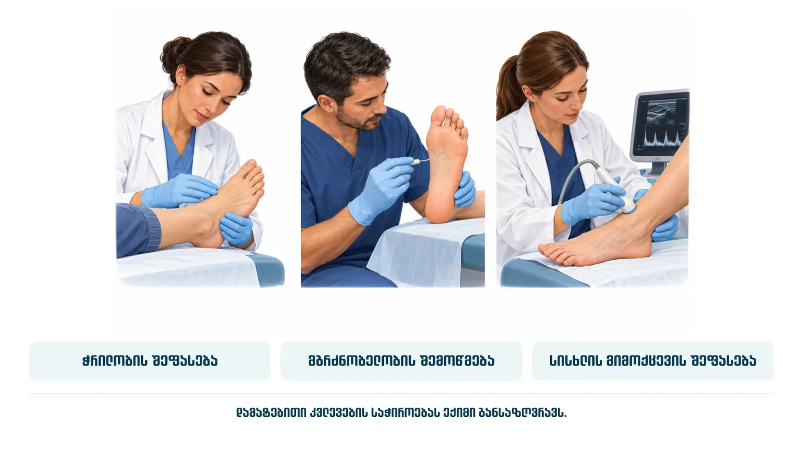 eqimis-shepaseba-terfis-dros